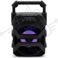 Колонка портативная Hyundai H-PS1000 черный 9 Вт 1.0 BT/USB 10м 500mAh