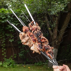 Шампуры с чехлом Camping Palisad 60 см (6шт.)