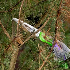 Пила садовая складная Palisad 150 мм рабочая часть, пластиковая обрезиненная рукоятка